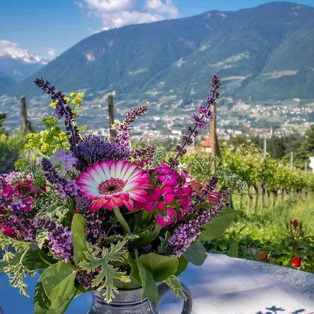 Pinot Apartment Merano