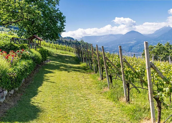 Pinot Apartment Merano