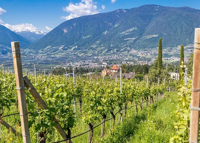 アパート Pinot *